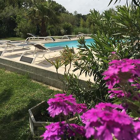 Appart'Hotel Et Chambres Essentiel Spa Arles Exterior photo